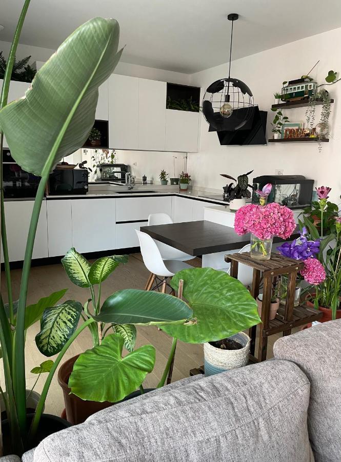 Mowgli House - Milano Luxury Apartment Private Room 外观 照片